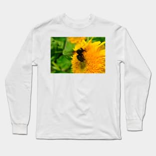 Sunny Yum on a Sunny Day, Yummy! Long Sleeve T-Shirt